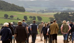 Improving herd replacements